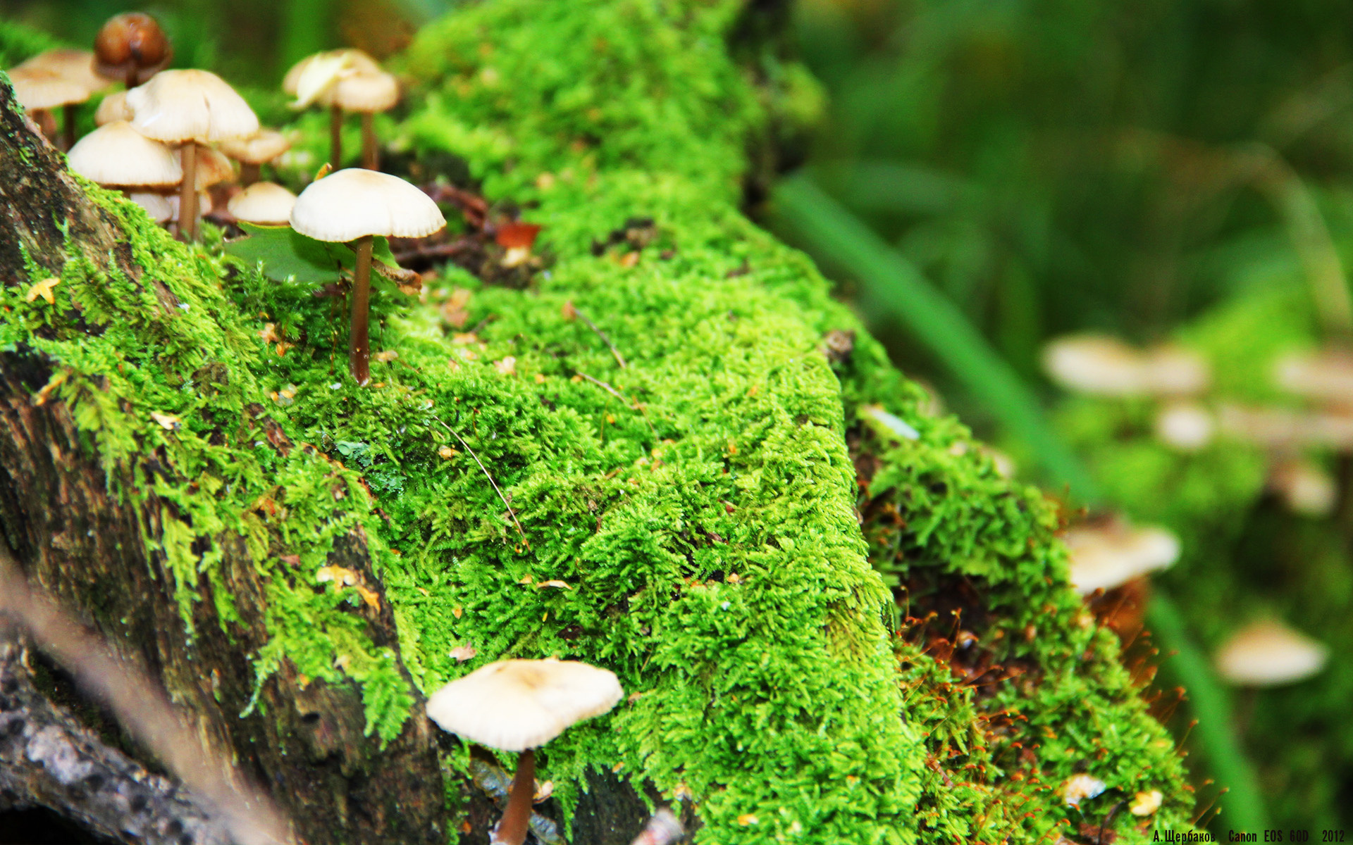 开云体育娱乐app安全-中超俱乐部加大青训投入，锁定未来之星，中超俱乐部青训梯队