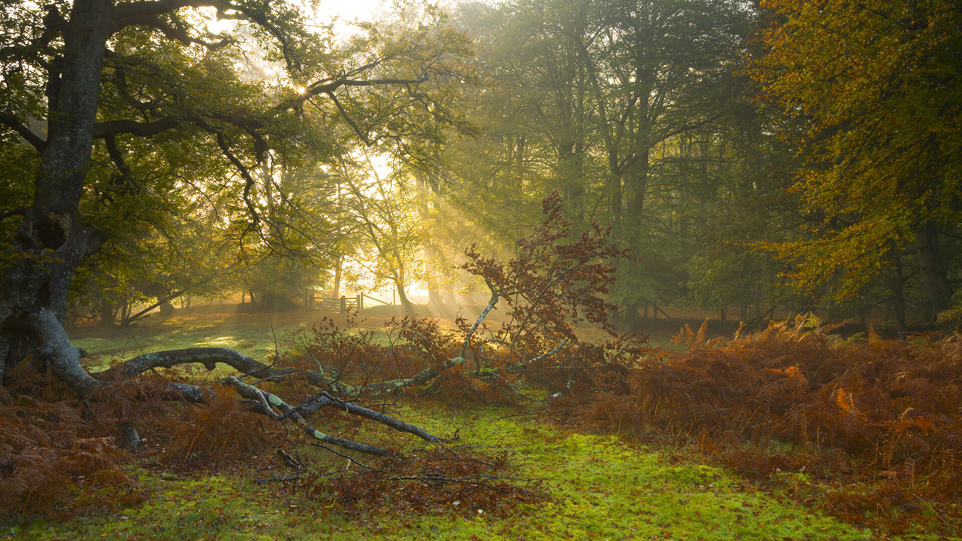 开云官方-俄罗斯篮球联赛颠覆球迷认知，高手如云，俄罗斯篮球nba
