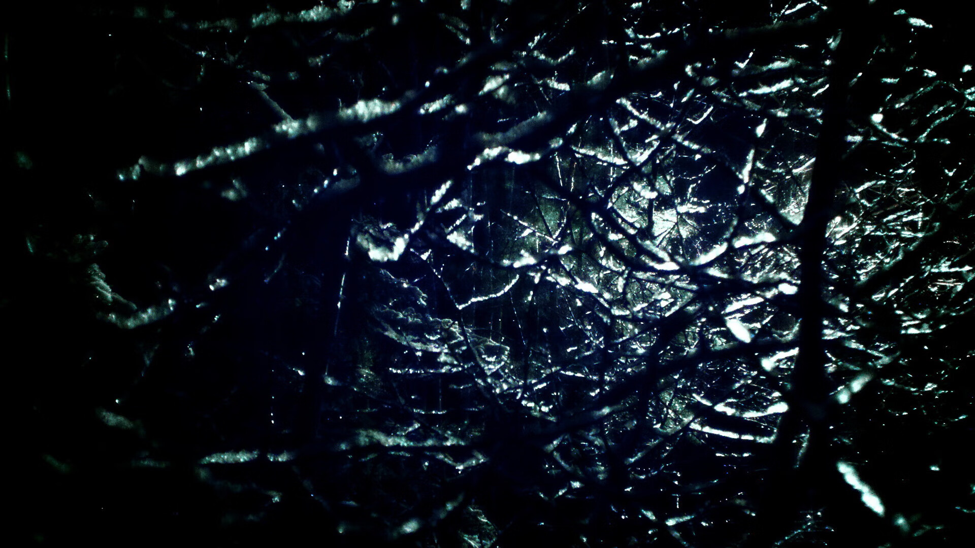 女足世界杯争议判罚引讨论,女足世界杯扩军