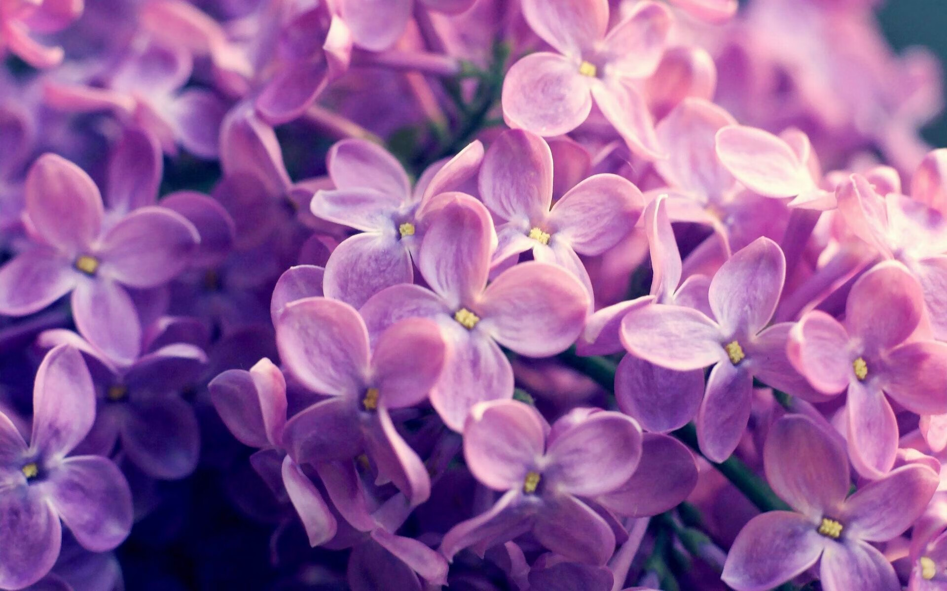 开云体育app安全下载-沃特福德客场不敌对手，保级形势雪上加霜，沃特福德联足球俱乐部