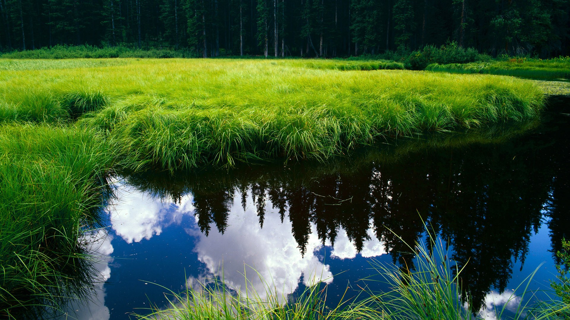 琉球黄金国王关键比赛获胜,琉球王国属于哪个国家