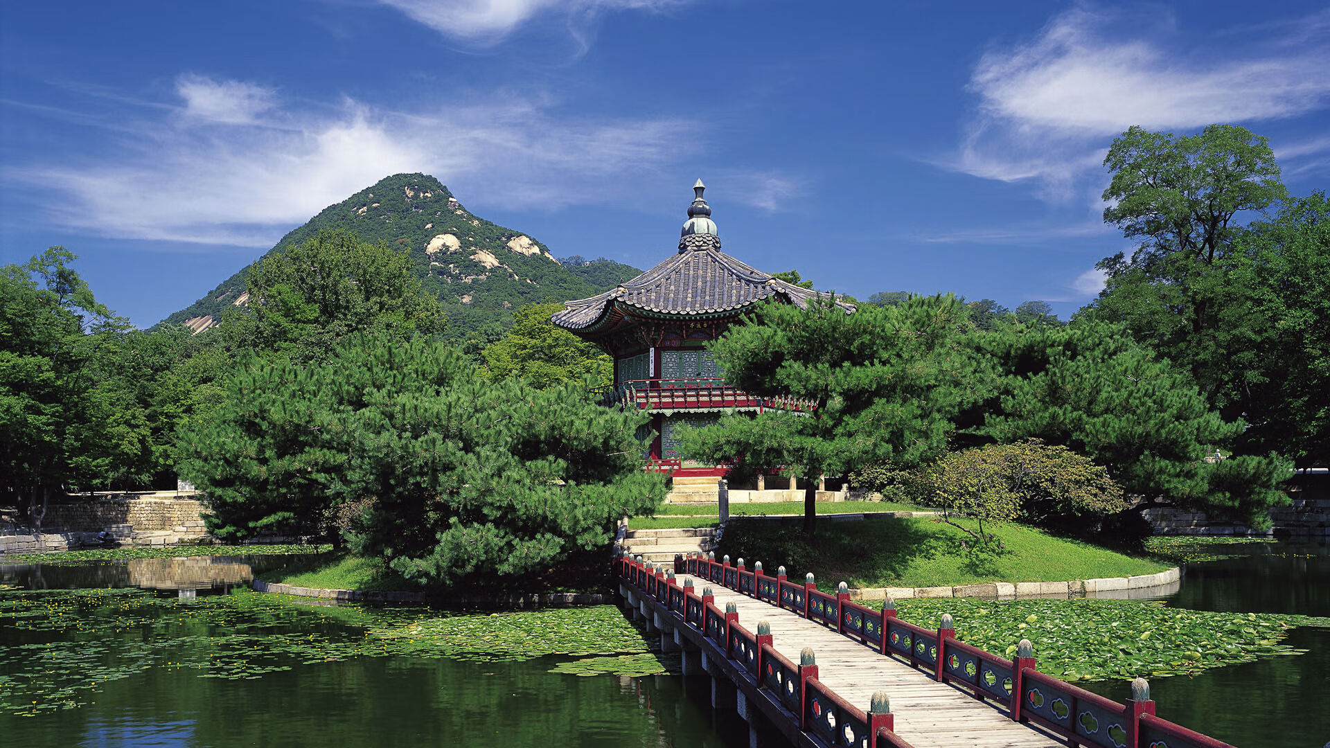 恩多比·恩乔:南非队的关键球员,他的踢球技术无懈可击,恩多cba