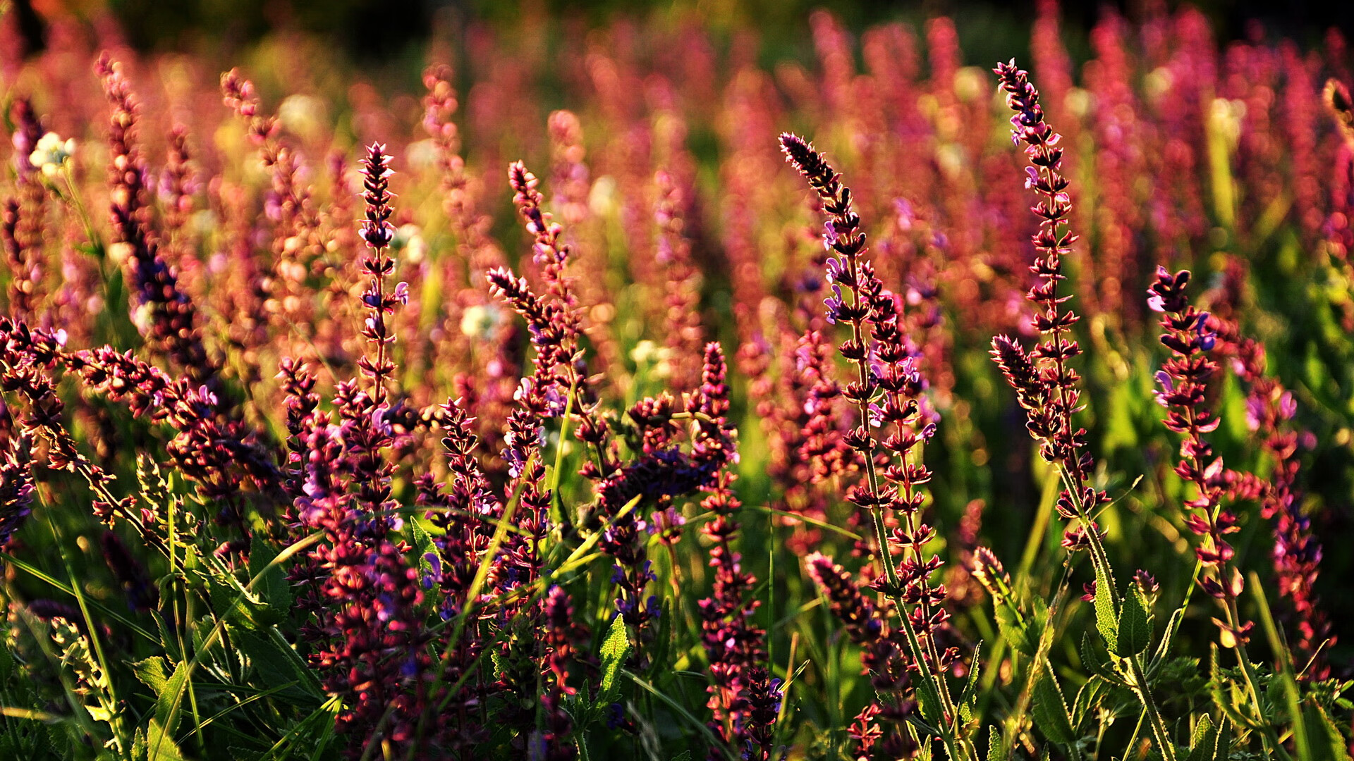 热火通过内部投票选出新赛季场上领袖,热火队领袖