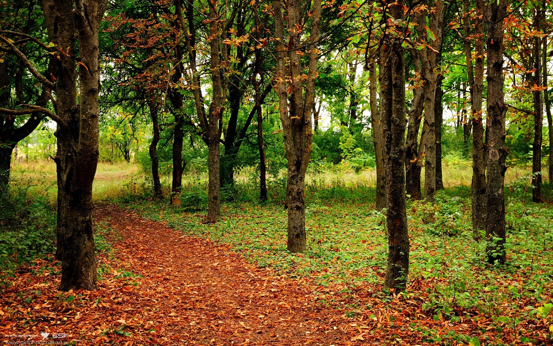 开云体育手机版-赛后数据分析显示我队控球率与传球成功率稳居全场第一，控球率有什么用